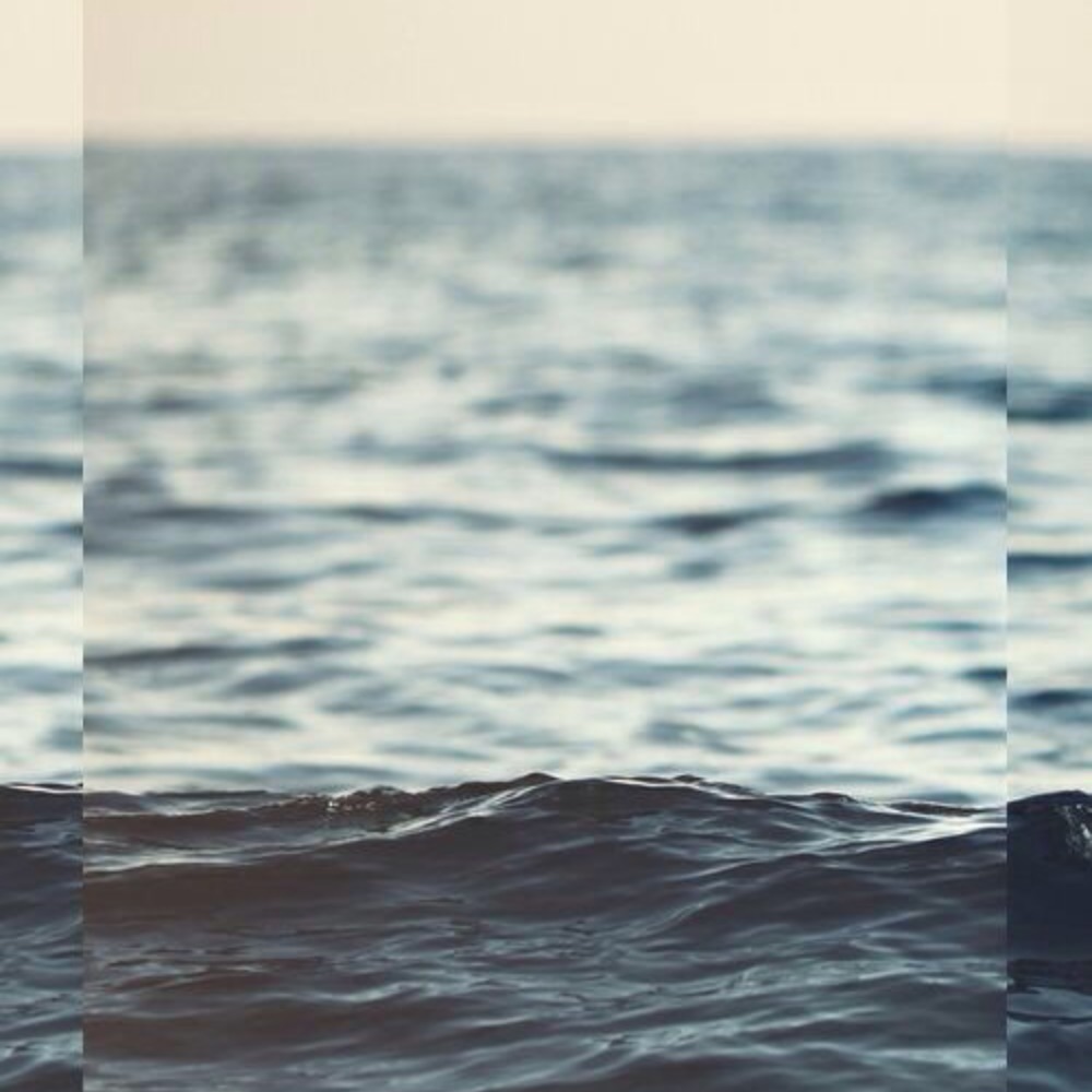 Meet your Posher, Shay